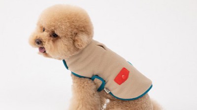 댕댕이를 위한 레고?! 득템할 수 있는 레고 애견용품 특가 정보!