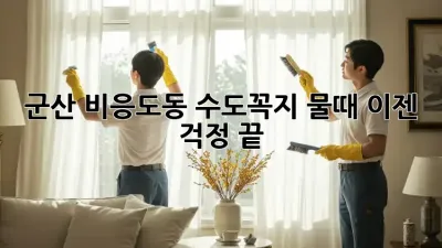 군산 비응도동 수도꼭지 물때, 이젠 걱정 끝!