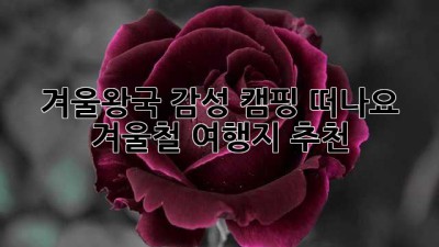 겨울왕국❄️ 감성 캠핑 떠나요! 겨울철 여행지 추천✨